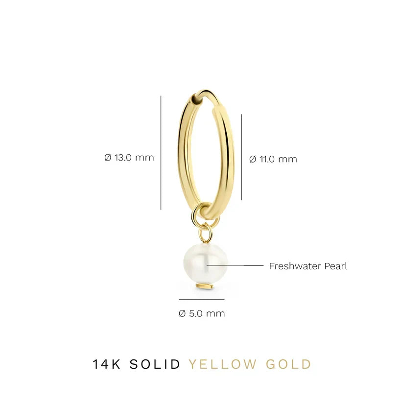 Délia Crowned Earrings | Gold