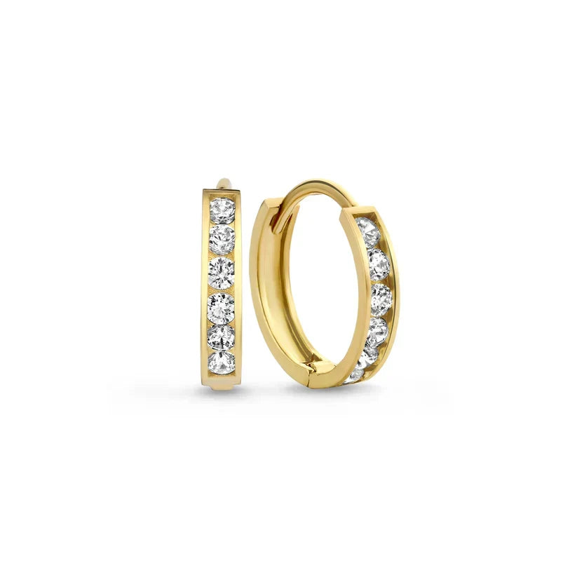 Dara Stone Sparkling Earrings | Gold