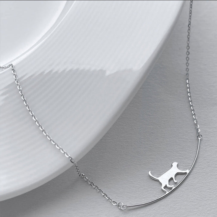 Collier de grimpe pour chat | Or blanc